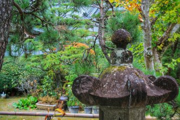 <p>Kebun kuil di Zuiho-ji memiliki detail yang indah untuk difoto</p>