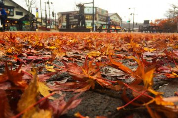 <p>Daun momiji menutupi jalan di stasiun bis Nikko.</p>
