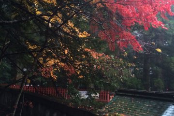 <p>Daun yang berubah di Kuil Nikko</p>