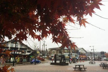 <p>Momiji merah menerangi hari hujan di bulan November.</p>