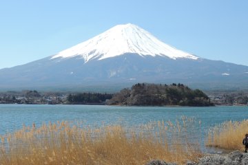 <p>Fuji-san dilihat dari danau Kawaguchi</p>