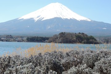 <p>Fuji-san dilihat dari danau Kawaguchi</p>