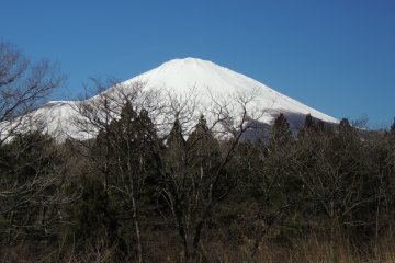 <p>Foto terkahir dari Gunung Fuji sebelum pergi ke danau Ashi</p>