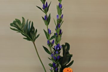 <p>My finished arrangement. The elements are indicative of the August summer season</p>