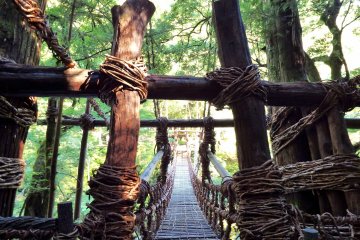Shikoku's Famous Iya-no-Kazurabashi