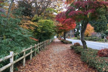 <p>Some roadside path was also very scenic.</p>