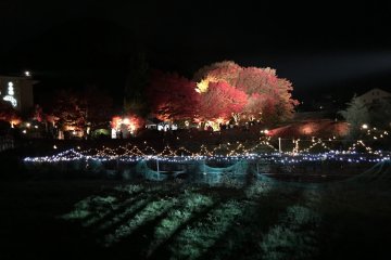 <p>Romantic night illumination</p>
