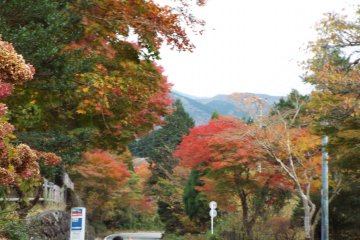 <p>Warna-warni musim gugur di Sengoku &nbsp;</p>