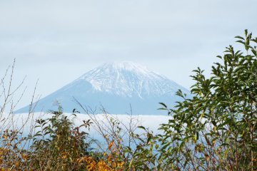 <p>Pemandangan Gunung Fuji dilihat dari Jalur Otome</p>
