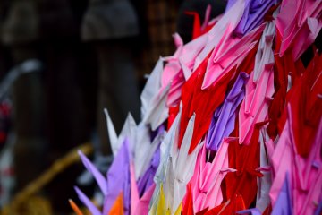 <p>Offerings of folded paper cranes inside the temple gate&nbsp;<span style="line-height: 20.8px;">(</span><span style="line-height: 20.8px;">#19)</span></p>
