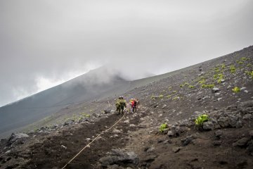 <p>Descending Gotemba Trail</p>