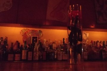 <p>A bar flower for the barflies</p>