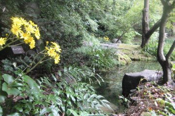 <p>Beautiful Grounds, Suntory Yamazaki</p>