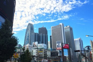 Shinjuku: Look Up! 