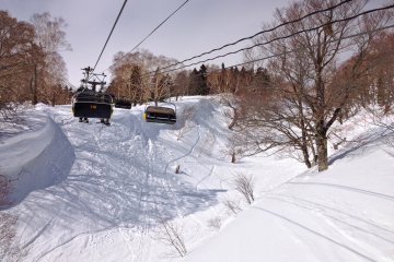 Tokyo Wide Pass 