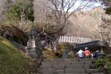 <p>A cat's point of view towards the shrine with Mt. Togakushi in the background. People line up to cleanse themselves with water from the spring.</p>