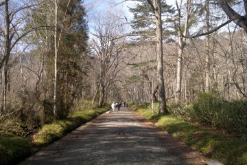 <p>Pathway from the outer to inner entrance.</p>
