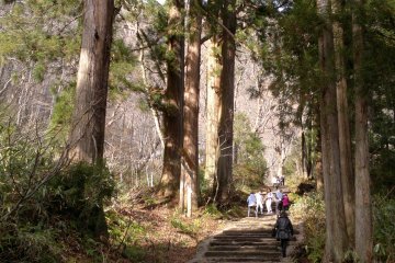 <p>A series of stone steps will be the last landmark before reaching Okusha Shrine.</p>