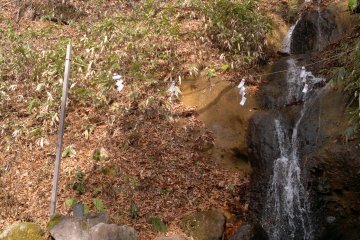 <p>There is a small sacred waterfall behind the shrine's main hall.</p>