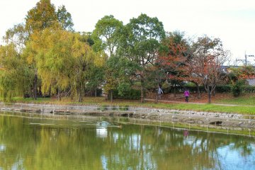 In autumn you'll see the trees turning red and yellow