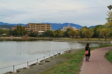 The track is for walking only, no need to watch out for bikes
