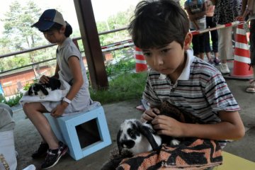 Rabbits are for petting