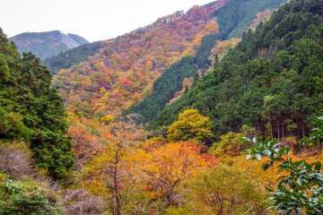 These multi-tones provided an entirely different look to the landscape