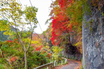 Just some of the many bright colors along this 10 kilometer long mountain pass