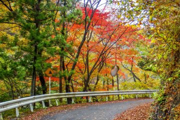 As the road winds into another valley, more bright colors appear
