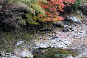 <p>From the suspension bridge that is the start of the hiking course &nbsp;</p>