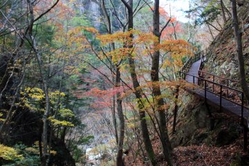 <p>The trail between Mitarai Falls and the Kanon Mountain Hiking Trailhead</p>
