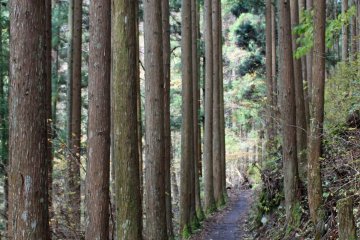 <p>Near the Kanon Mountain Hiking Trailhead</p>