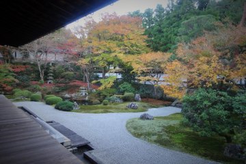 <p>The rock garden mixes with foliage behind the main hall</p>