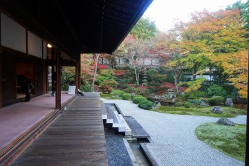 Autumn at Sennyu-ji