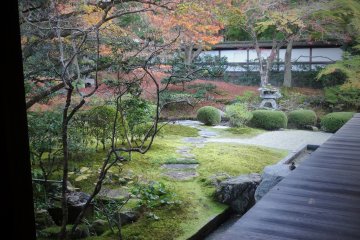<p>A glimpse of the garden from the temple's hallway</p>