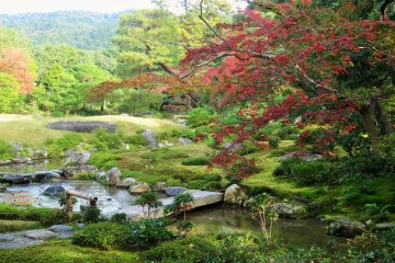 Murin-an in Autumn