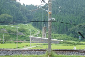 shades of green against a train track
