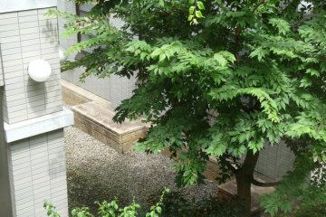 courtyard at the museum