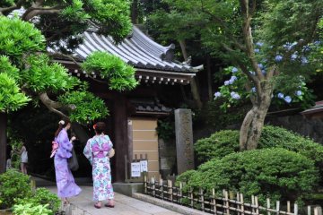 Street entrance to Hokokuji