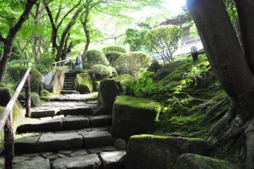 Ancient stairs leading up to the temple courtyard