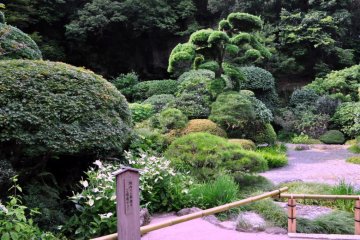 Landscaping behind the main temple building