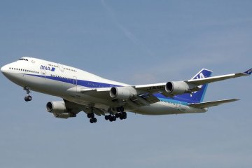 <p>Un avion de la compagnie nippone ANA</p>