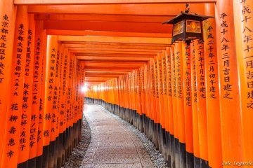 <p>Fushimi Inari-taisha, Osaka</p>