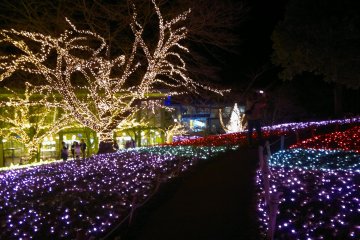 <p>"The Flower Garden of Light".</p>