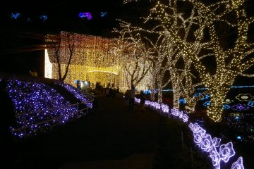 <p>Passageway to "Niagara of Light".</p>