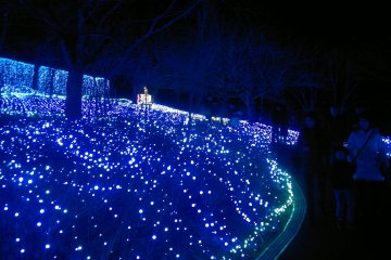 <p>Thousands of blue bulbs form the "Sea of Lights".</p>