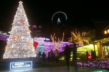 <p>Wide view of Sagamiko Resort Pleasure Forest under the magical lights of "Sagamiko Illumillion".</p>
