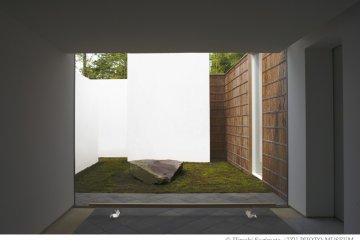 <p>Looking out onto a peaceful small garden</p>
