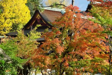 Jalur Maple Kitano Tenmangu