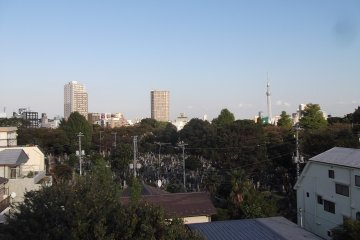 <p>The view of the cemetery</p>